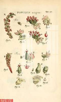 Download file Tranh sơn dầu phương tây tổng hợp STS19518 (gốc) in mica bàn thờ