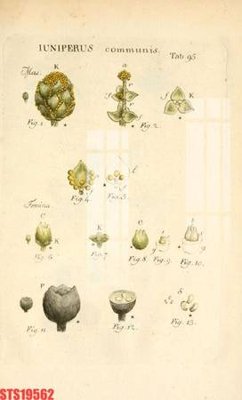 Download file Tranh sơn dầu phương tây tổng hợp STS19562 (gốc) in mica đèn LED