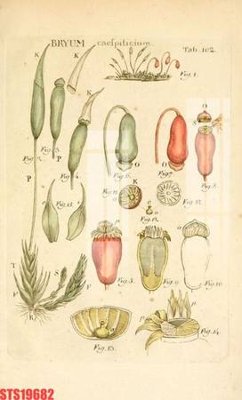 Tải file Tranh sơn dầu phương tây tổng hợp STS19682 (ảnh gốc) in gạch 3D