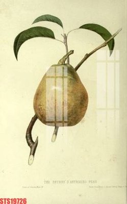 File ảnh Tranh sơn dầu phương tây tổng hợp STS19726 (gốc) in poster