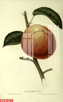 Tải file Tranh sơn dầu phương tây tổng hợp STS19768 (ảnh gốc) file TIFF