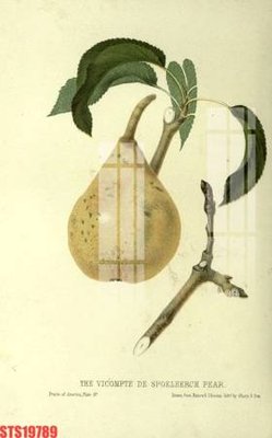 Tải file Tranh sơn dầu phương tây tổng hợp STS19789 (PSD) cho in tranh 3D