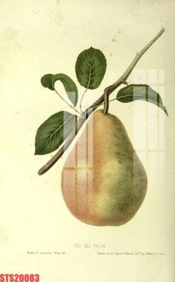 File gốc Tranh sơn dầu phương tây tổng hợp STS20083 (trang trí) phòng ngủ