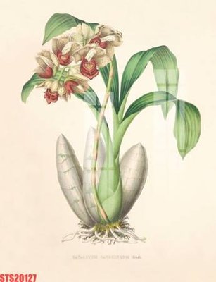 File gốc Tranh sơn dầu phương tây tổng hợp STS20127 (in tráng gương) nghệ thuật