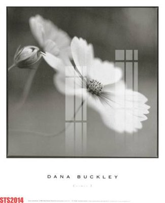 File ảnh Tranh sơn dầu phương tây tổng hợp STS2014 (gốc) dùng in Pano