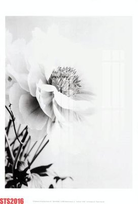 File gốc Tranh sơn dầu phương tây tổng hợp STS2016 (in lụa) trang trí tường