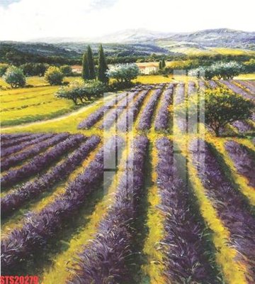 File gốc in ấn Tranh sơn dầu phương tây tổng hợp STS20279 (sẵn sàng tải về)