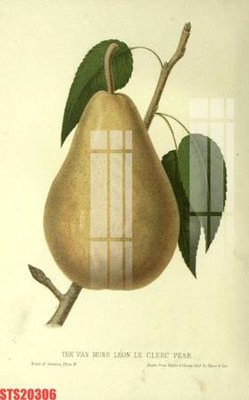 Mua file gốc Tranh sơn dầu phương tây tổng hợp STS20306 (PSD) tại Filetranh.com