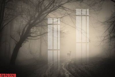 File gốc Tranh sơn dầu phương tây tổng hợp STS20328 (in tráng gương) hiện đại