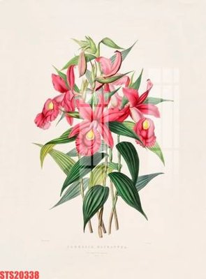 File tranh gốc Tranh sơn dầu phương tây tổng hợp STS20338 (bản đẹp) độc quyền