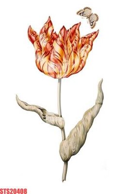 File in ấn chuyên nghiệp Tranh sơn dầu phương tây tổng hợp STS20408 (file gốc)