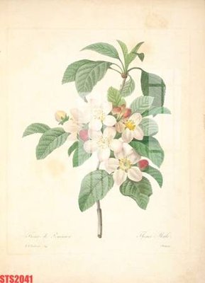 Tải về file gốc Tranh sơn dầu phương tây tổng hợp STS2041 (chuẩn in ấn)