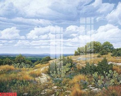 Download file gốc Tranh sơn dầu phương tây tổng hợp STS20628 (in mica) trang trí