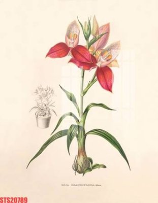 File PSD Tranh sơn dầu phương tây tổng hợp STS20789 (bản gốc) cho nhà in