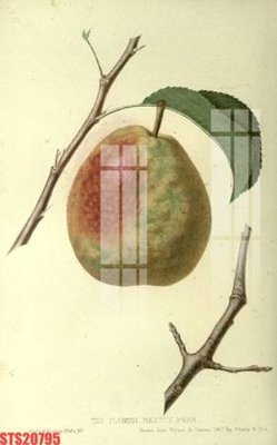 File tranh Tranh sơn dầu phương tây tổng hợp STS20795 (ảnh gốc) chi tiết rõ ràng