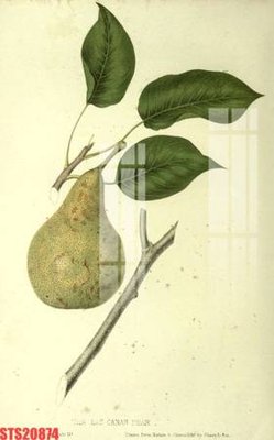 File gốc Tranh sơn dầu phương tây tổng hợp STS20874 (phong cách) tối giản