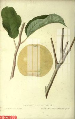 File tranh trang trí Tranh sơn dầu phương tây tổng hợp STS20906 (tải file gốc)