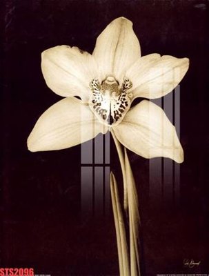 Tải file Tranh sơn dầu phương tây tổng hợp STS2096 (gốc) in tranh tráng gương