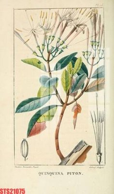 File tranh Tranh sơn dầu phương tây tổng hợp STS21075 (ảnh gốc) độ nét vượt trội