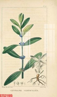 Tải file gốc Tranh sơn dầu phương tây tổng hợp STS21105 (in tráng gương) 3DFile gốc Tranh sơn dầu phương tây tổng hợp STS21105 (sẵn sàng in) chất lượng cao