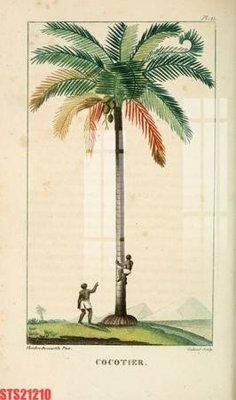 Tải về file gốc Tranh sơn dầu phương tây tổng hợp STS21210 (dùng cho in quảng cáo)