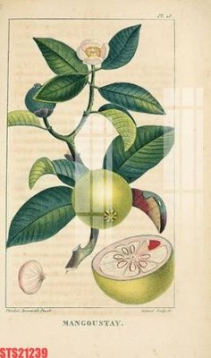 Chi tiết file gốc Tranh sơn dầu phương tây tổng hợp STS21239 (cho in tráng gương)