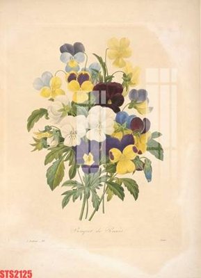 File tranh quảng cáo Tranh sơn dầu phương tây tổng hợp STS2125 (file gốc) chuyên nghiệp