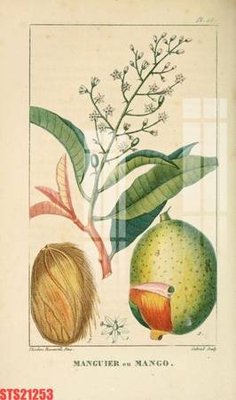 File gốc Tranh sơn dầu phương tây tổng hợp STS21253 (AI/EPS) cho in ấn