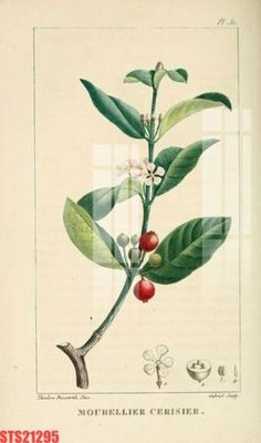 Tải file Tranh sơn dầu phương tây tổng hợp STS21295 (gốc) làm file tranh quảng cáo