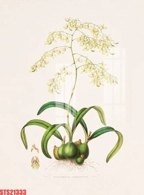 File ảnh Tranh sơn dầu phương tây tổng hợp STS21333 (gốc) trang trí khách sạn