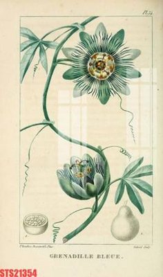 File gốc Tranh sơn dầu phương tây tổng hợp STS21354 (phong cách) cổ điển