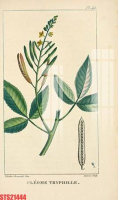 File gốc in tráng gương Tranh sơn dầu phương tây tổng hợp STS21444 chi tiết