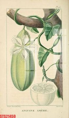 File in ấn Tranh sơn dầu phương tây tổng hợp STS21459 (bản gốc) chất lượng cao