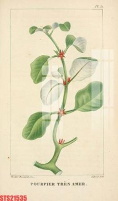 Tải file Tranh sơn dầu phương tây tổng hợp STS21535 (gốc) in tranh tráng gương