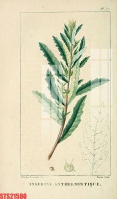 Tải file Tranh sơn dầu phương tây tổng hợp STS21580 (gốc) để in ấn ngay