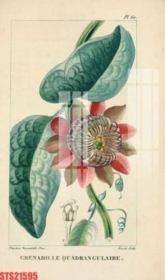 File PSD Tranh sơn dầu phương tây tổng hợp STS21595 (bản gốc) dễ dàng edit