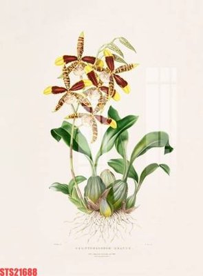 File gốc Tranh sơn dầu phương tây tổng hợp STS21688 (ảnh rõ nét) để in