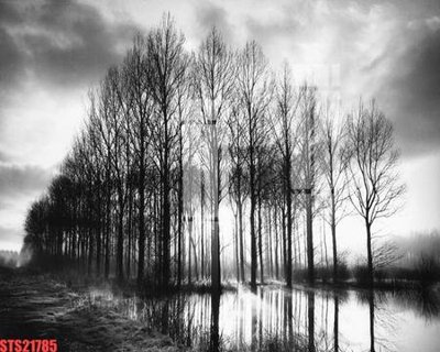 File tranh Tranh sơn dầu phương tây tổng hợp STS21785 (ảnh gốc) sắc nét hoàn hảo