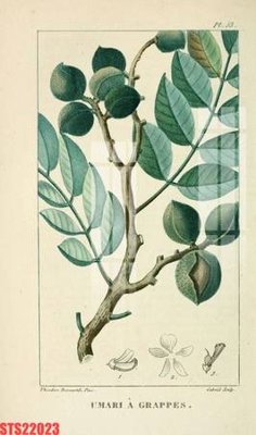 File tranh trang trí Tranh sơn dầu phương tây tổng hợp STS22023 (tải file gốc)