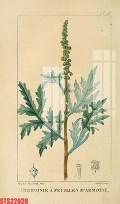 File tranh Tranh sơn dầu phương tây tổng hợp STS22036 (ảnh gốc) độc quyền