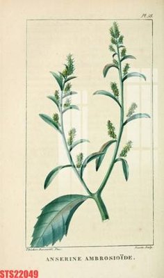 File tranh quảng cáo Tranh sơn dầu phương tây tổng hợp STS22049 (file gốc) chuyên nghiệp