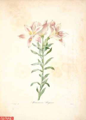 Download file gốc Tranh sơn dầu phương tây tổng hợp STS2210 (in mica) trang trí