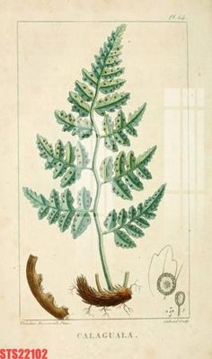 File gốc Tranh sơn dầu phương tây tổng hợp STS22102 (cho in ấn) từ kho Filetranh