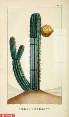 File ảnh Tranh sơn dầu phương tây tổng hợp STS22115 (gốc) in poster