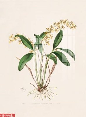 Tải file Tranh sơn dầu phương tây tổng hợp STS22178 (gốc) làm file in ấn