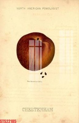 Tải file gốc Tranh sơn dầu phương tây tổng hợp STS22185 (in khổ lớn) không vỡ