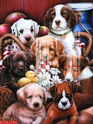 Download file Tranh sơn dầu phương tây tổng hợp STS22204 (chuẩn in) chất lượng cao