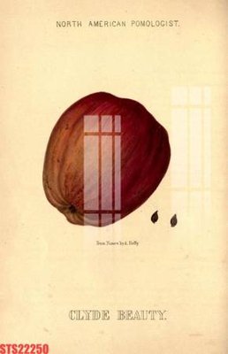 File gốc Tranh sơn dầu phương tây tổng hợp STS22250 (thiết kế) độc quyền