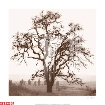 Ảnh mô tả file gốc in mica Tranh sơn dầu phương tây tổng hợp STS22257