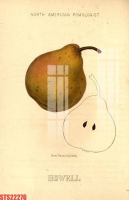 File in mica Tranh sơn dầu phương tây tổng hợp STS22276 (bản gốc) siêu trong